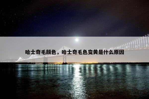 哈士奇毛颜色，哈士奇毛色变黄是什么原因