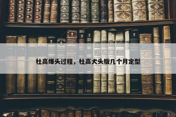 杜高爆头过程，杜高犬头版几个月定型