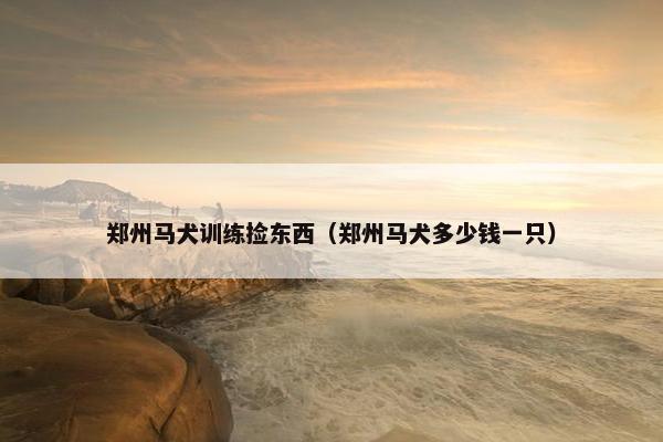 郑州马犬训练捡东西（郑州马犬多少钱一只）