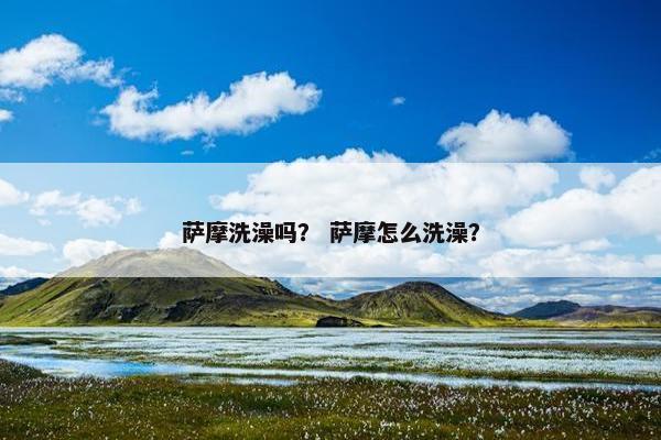 萨摩洗澡吗？ 萨摩怎么洗澡？