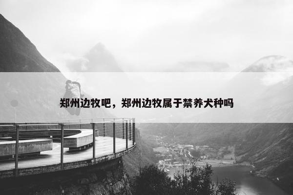 郑州边牧吧，郑州边牧属于禁养犬种吗