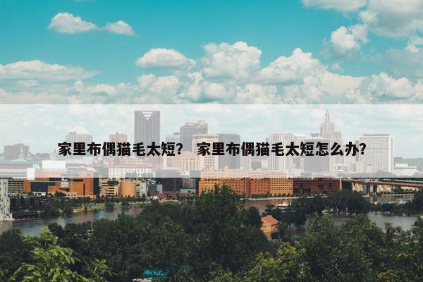 家里布偶猫毛太短？ 家里布偶猫毛太短怎么办？