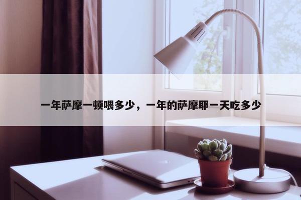 一年萨摩一顿喂多少，一年的萨摩耶一天吃多少