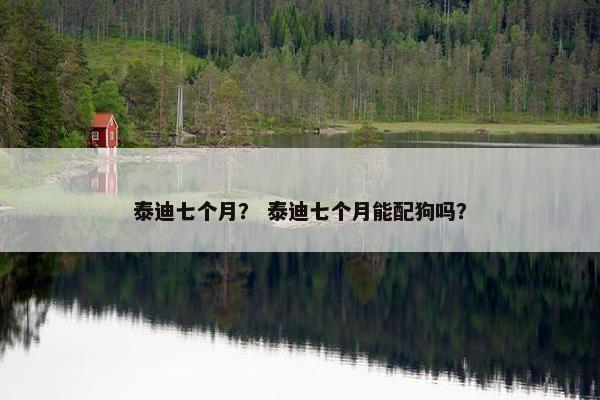 泰迪七个月？ 泰迪七个月能配狗吗？