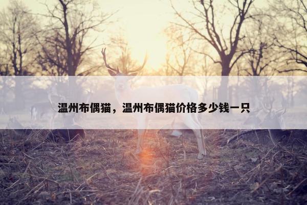 温州布偶猫，温州布偶猫价格多少钱一只
