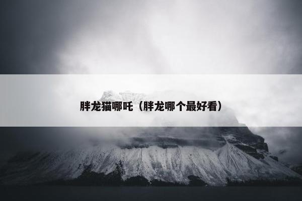 胖龙猫哪吒（胖龙哪个最好看）