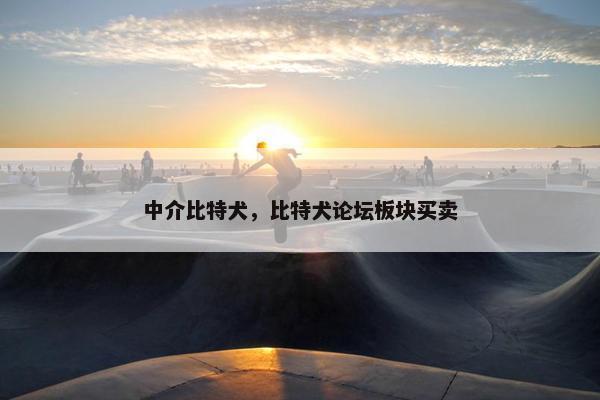 中介比特犬，比特犬论坛板块买卖