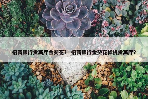 招商银行贵宾厅金葵花？ 招商银行金葵花候机贵宾厅？