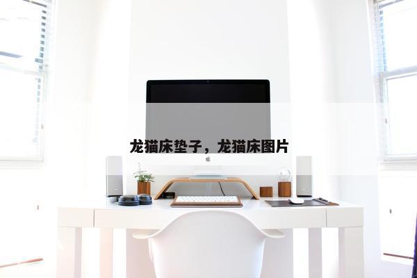 龙猫床垫子，龙猫床图片