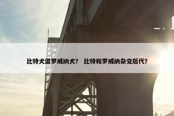 比特犬逗罗威纳犬？ 比特和罗威纳杂交后代？