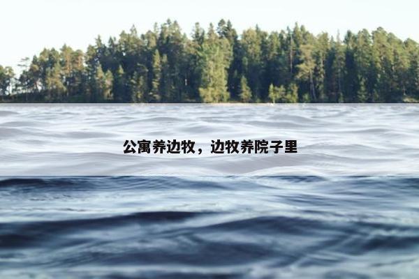 公寓养边牧，边牧养院子里