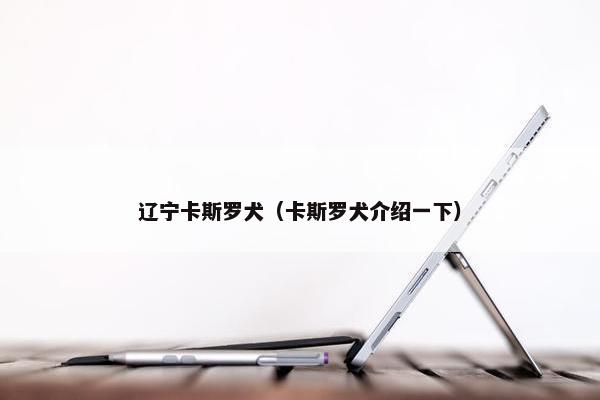 辽宁卡斯罗犬（卡斯罗犬介绍一下）