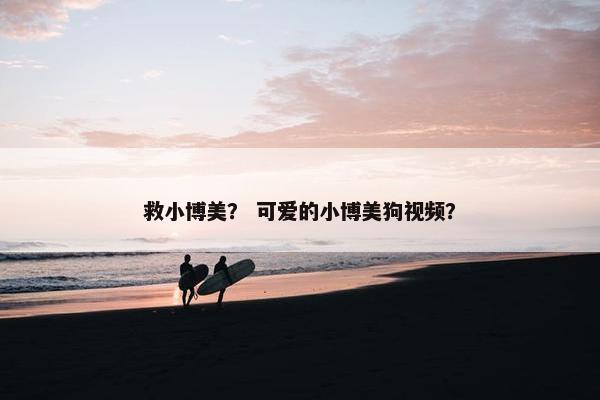 救小博美？ 可爱的小博美狗视频？