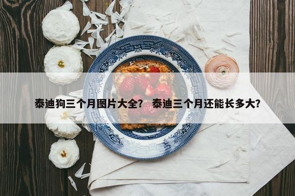 泰迪狗三个月图片大全？ 泰迪三个月还能长多大？
