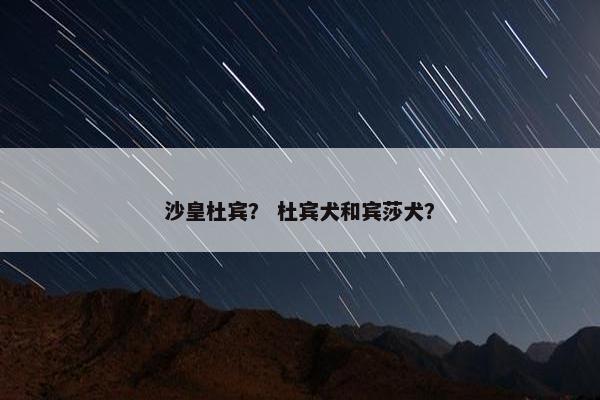 沙皇杜宾？ 杜宾犬和宾莎犬？