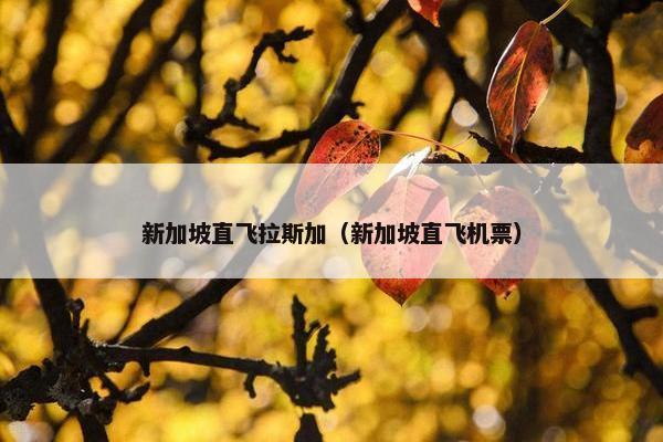 新加坡直飞拉斯加（新加坡直飞机票）