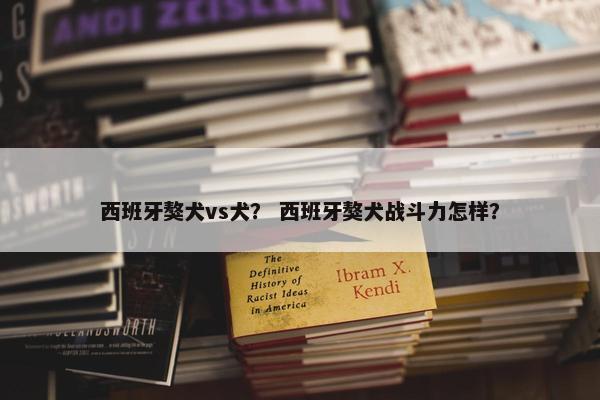 西班牙獒犬vs犬？ 西班牙獒犬战斗力怎样？