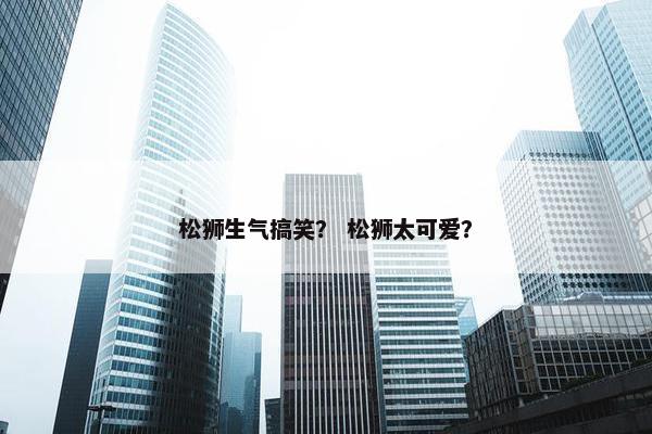 松狮生气搞笑？ 松狮太可爱？