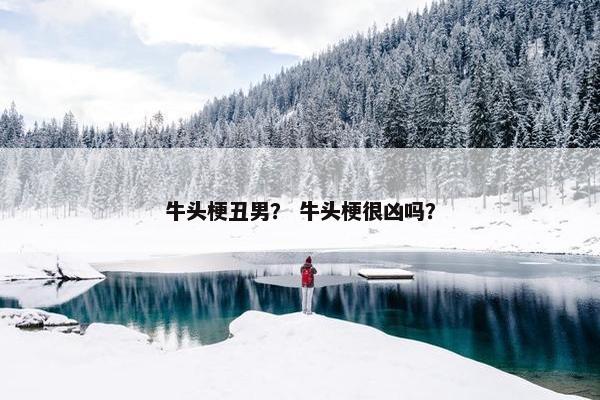 牛头梗丑男？ 牛头梗很凶吗？