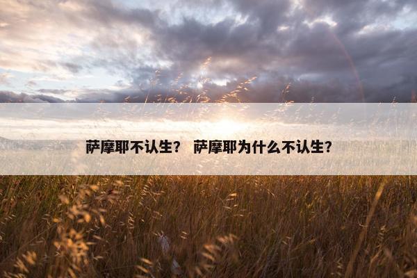 萨摩耶不认生？ 萨摩耶为什么不认生？