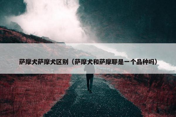 萨摩犬萨摩犬区别（萨摩犬和萨摩耶是一个品种吗）