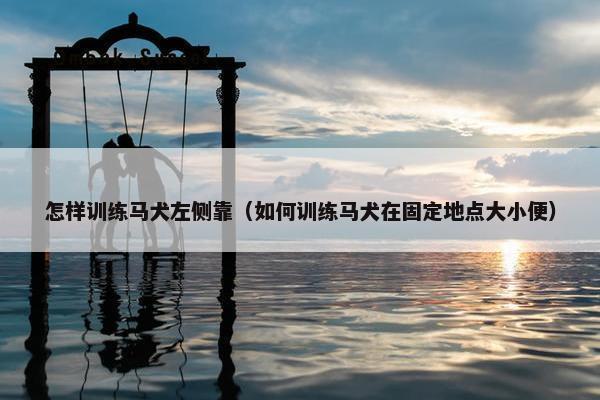 怎样训练马犬左侧靠（如何训练马犬在固定地点大小便）