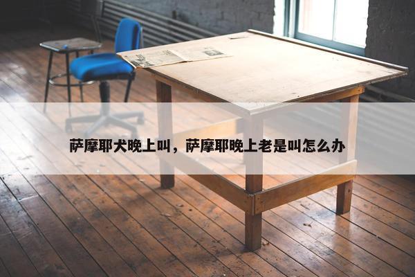 萨摩耶犬晚上叫，萨摩耶晚上老是叫怎么办