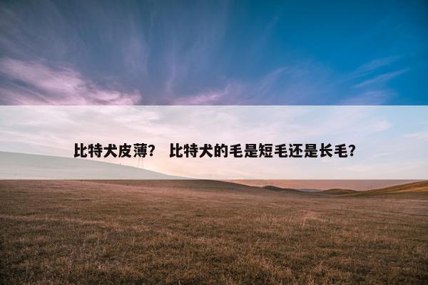 比特犬皮薄？ 比特犬的毛是短毛还是长毛？