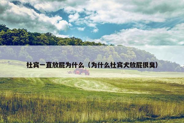 杜宾一直放屁为什么（为什么杜宾犬放屁很臭）