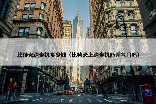 比特犬跑步机多少钱（比特犬上跑步机能开气门吗）