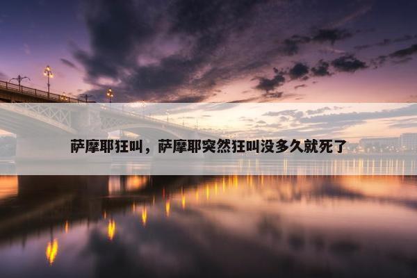 萨摩耶狂叫，萨摩耶突然狂叫没多久就死了