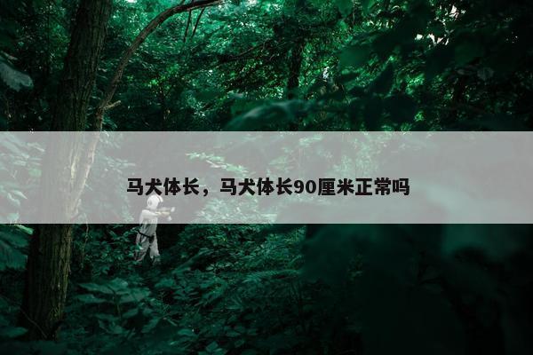 马犬体长，马犬体长90厘米正常吗