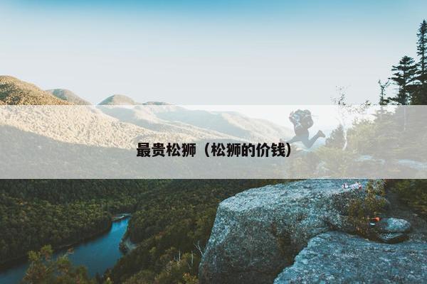 最贵松狮（松狮的价钱）