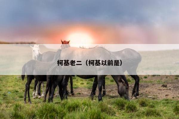 柯基老二（柯基以前是）