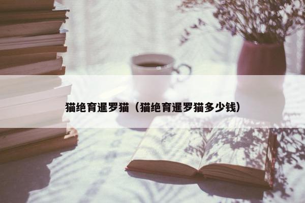 猫绝育暹罗猫（猫绝育暹罗猫多少钱）