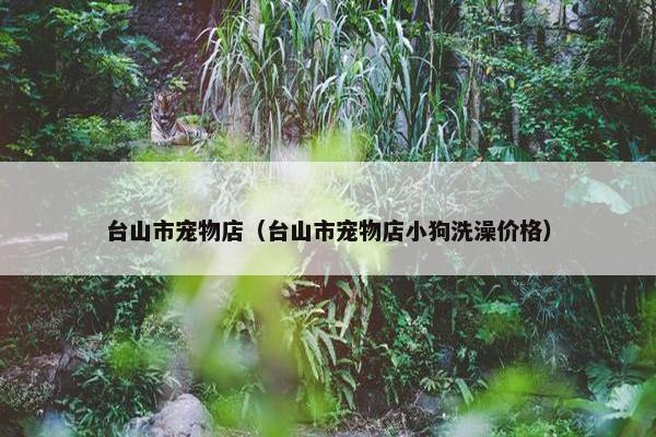 台山市宠物店（台山市宠物店小狗洗澡价格）