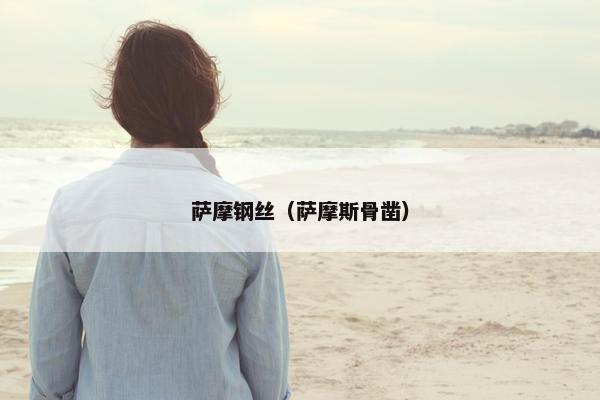 萨摩钢丝（萨摩斯骨凿）