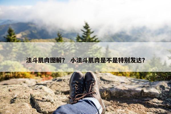 法斗肌肉图解？ 小法斗肌肉是不是特别发达？