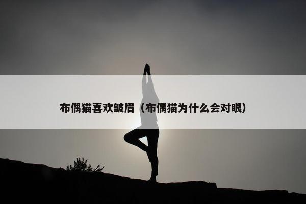 布偶猫喜欢皱眉（布偶猫为什么会对眼）