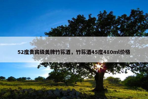 52度贵宾级美牌竹荪酒，竹荪酒45度480ml价格