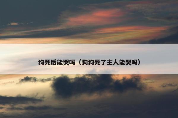 狗死后能哭吗（狗狗死了主人能哭吗）