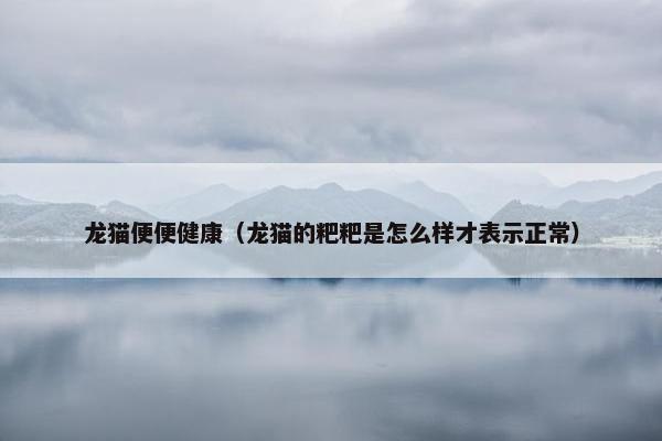 龙猫便便健康（龙猫的粑粑是怎么样才表示正常）