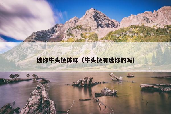 迷你牛头梗体味（牛头梗有迷你的吗）