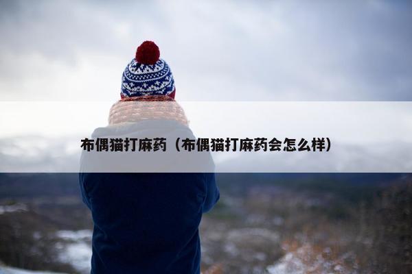 布偶猫打麻药（布偶猫打麻药会怎么样）