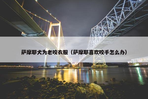 萨摩耶犬为老咬衣服（萨摩耶喜欢咬手怎么办）
