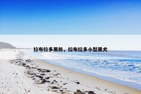 拉布拉多黑熊，拉布拉多小型黑犬