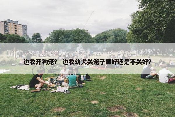 边牧开狗笼？ 边牧幼犬关笼子里好还是不关好？