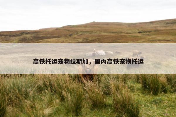 高铁托运宠物拉斯加，国内高铁宠物托运