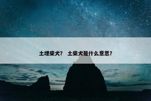 土埋柴犬？ 土柴犬是什么意思？