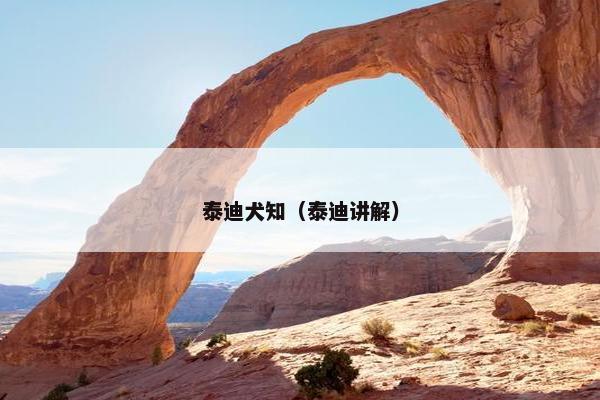 泰迪犬知（泰迪讲解）
